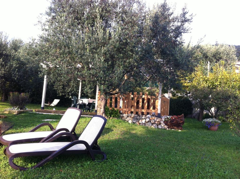 Agriturismo Casa Rosa Vérone Extérieur photo