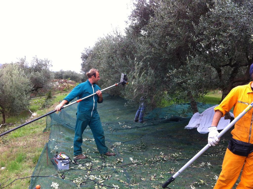 Agriturismo Casa Rosa Vérone Extérieur photo
